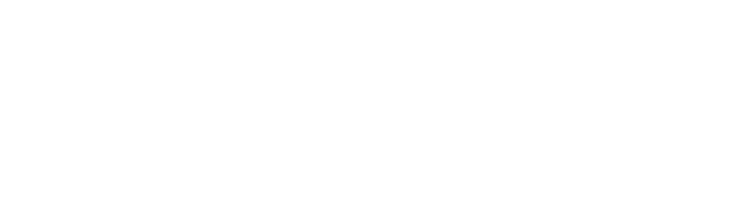 light logo